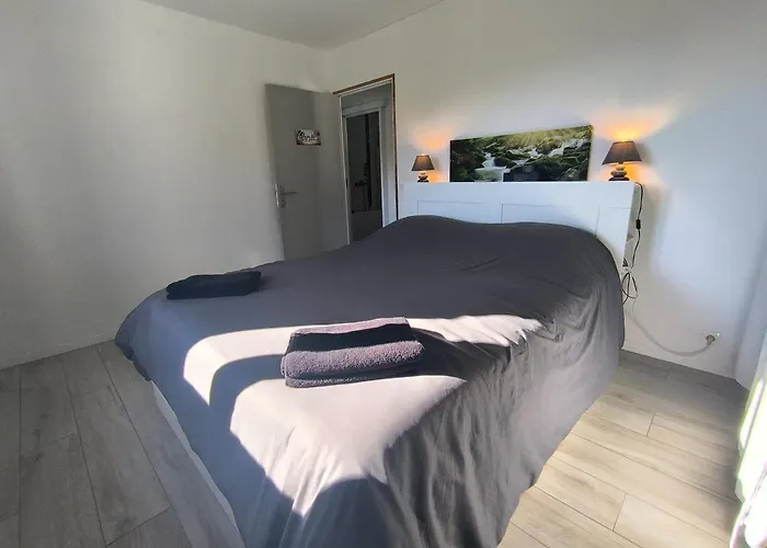 Entre Bois Et Lumiere